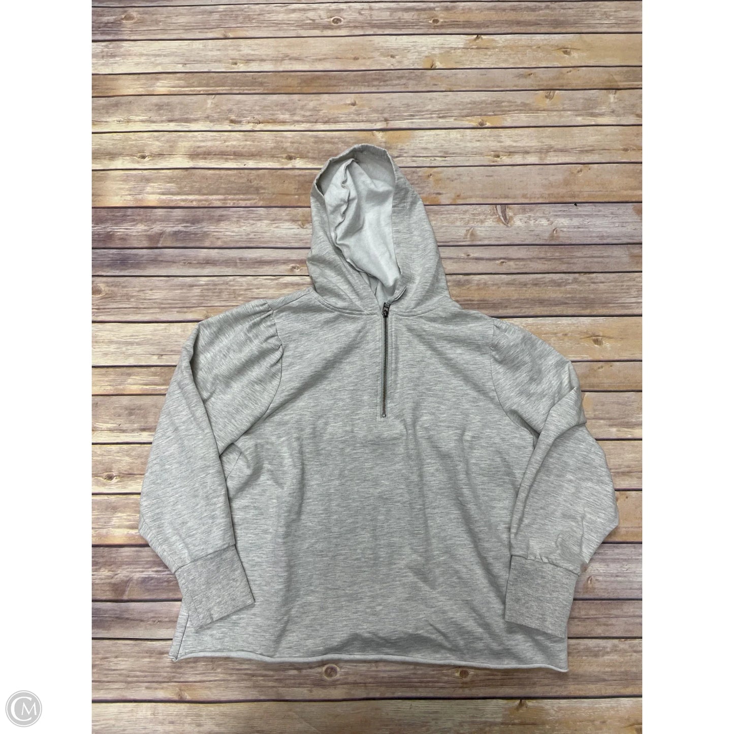 Sweatshirt Hoodie By Good Hart In Grey, Size: M