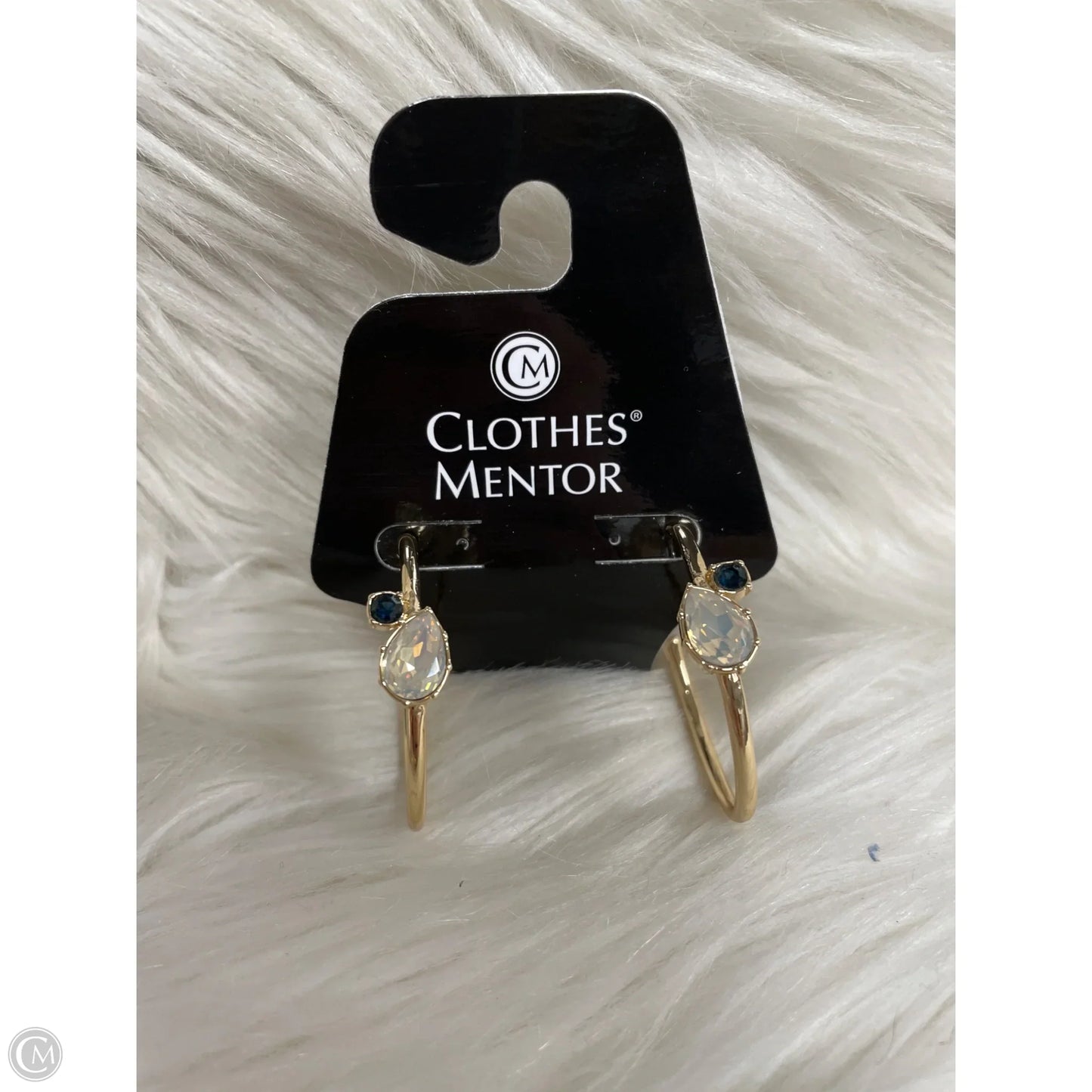 Earrings Hoop By Anthropologie