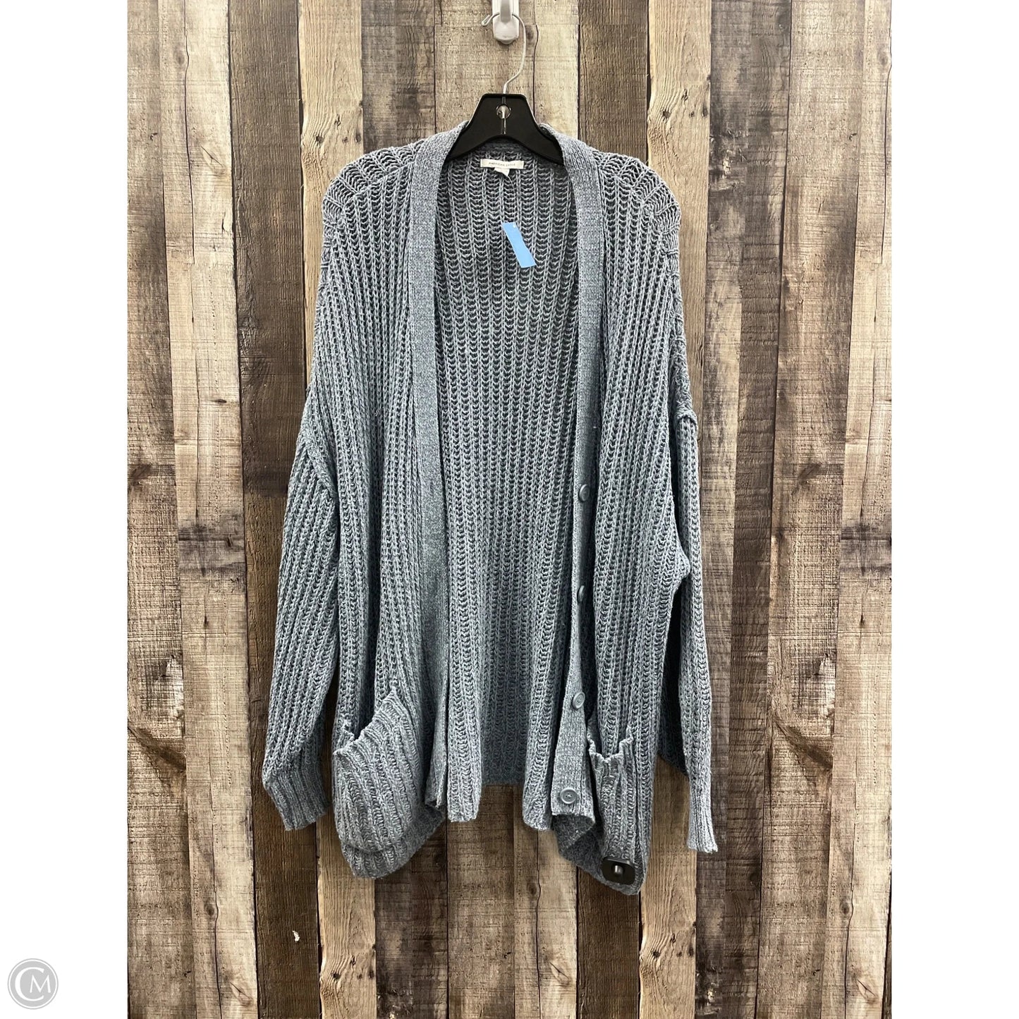 Sweater Cardigan By American Eagle In Blue, Size: L