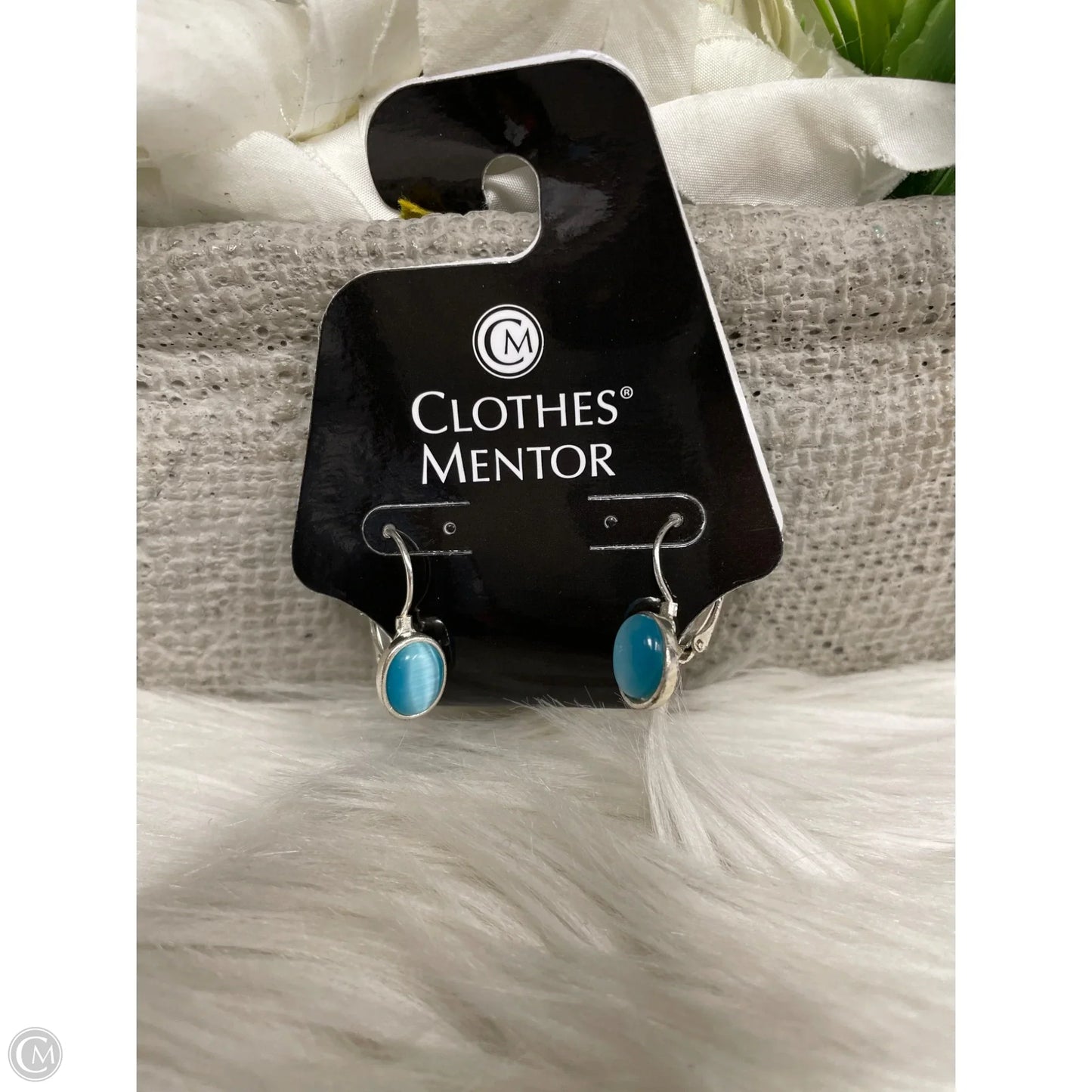 Earrings Dangle/drop By Cme