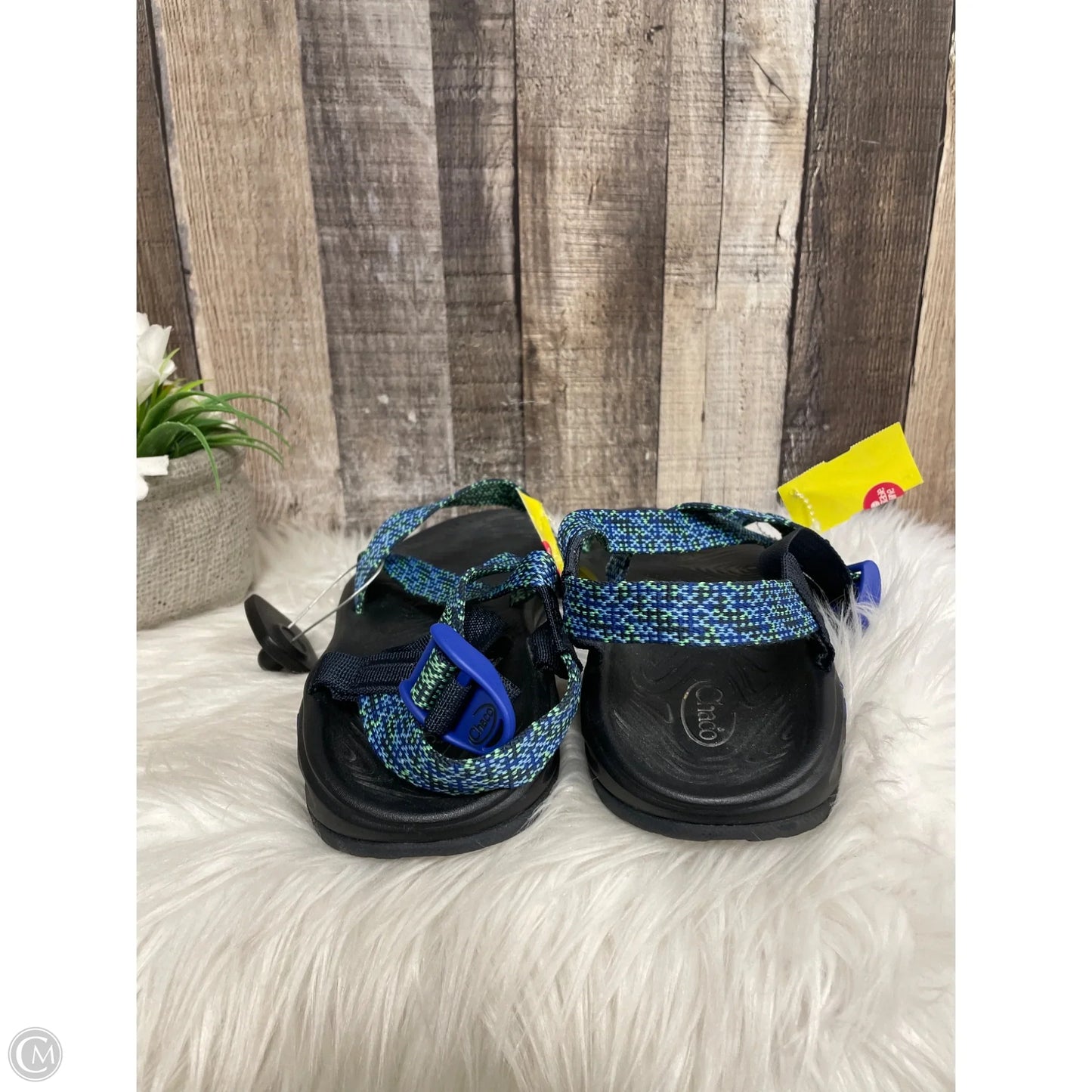 Sandals Flats By Chacos In Black, Size: 11