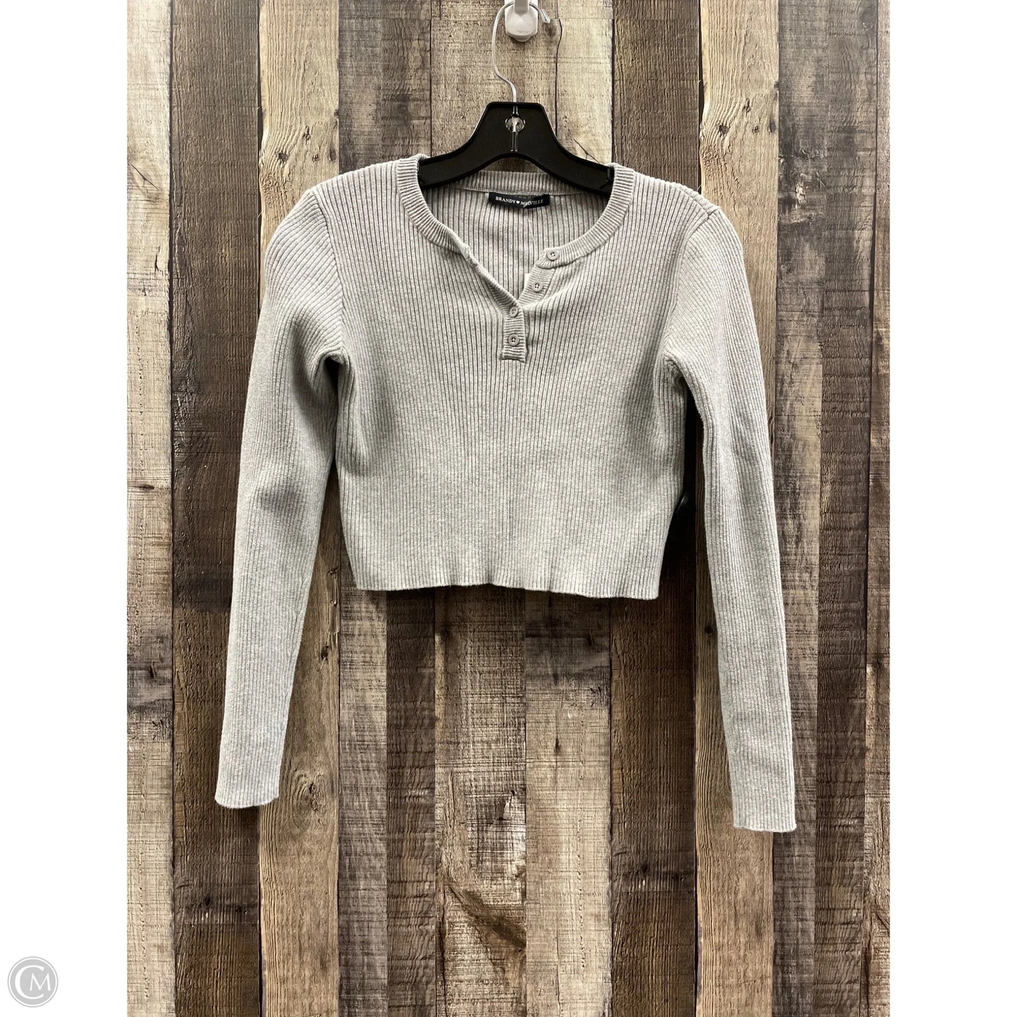 Top Long Sleeve By Brandy Melville In Grey, Size: Osfm