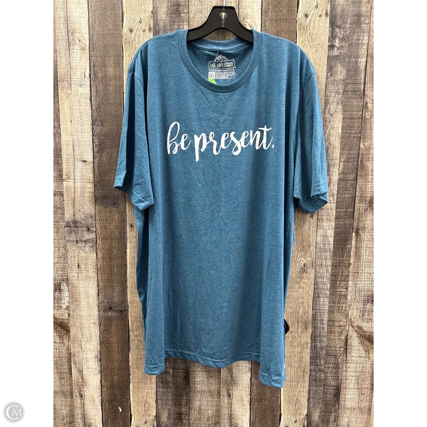 Top Short Sleeve By Cme In Teal, Size: 3x