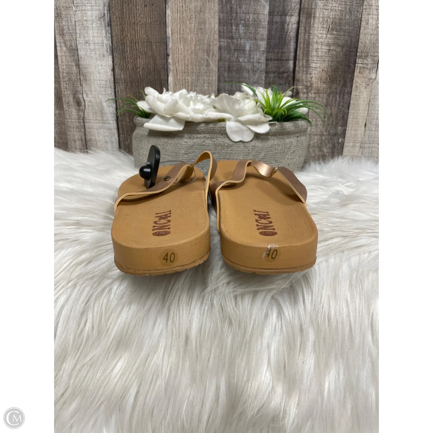 Sandals Flats By Cme In Brown, Size: 10