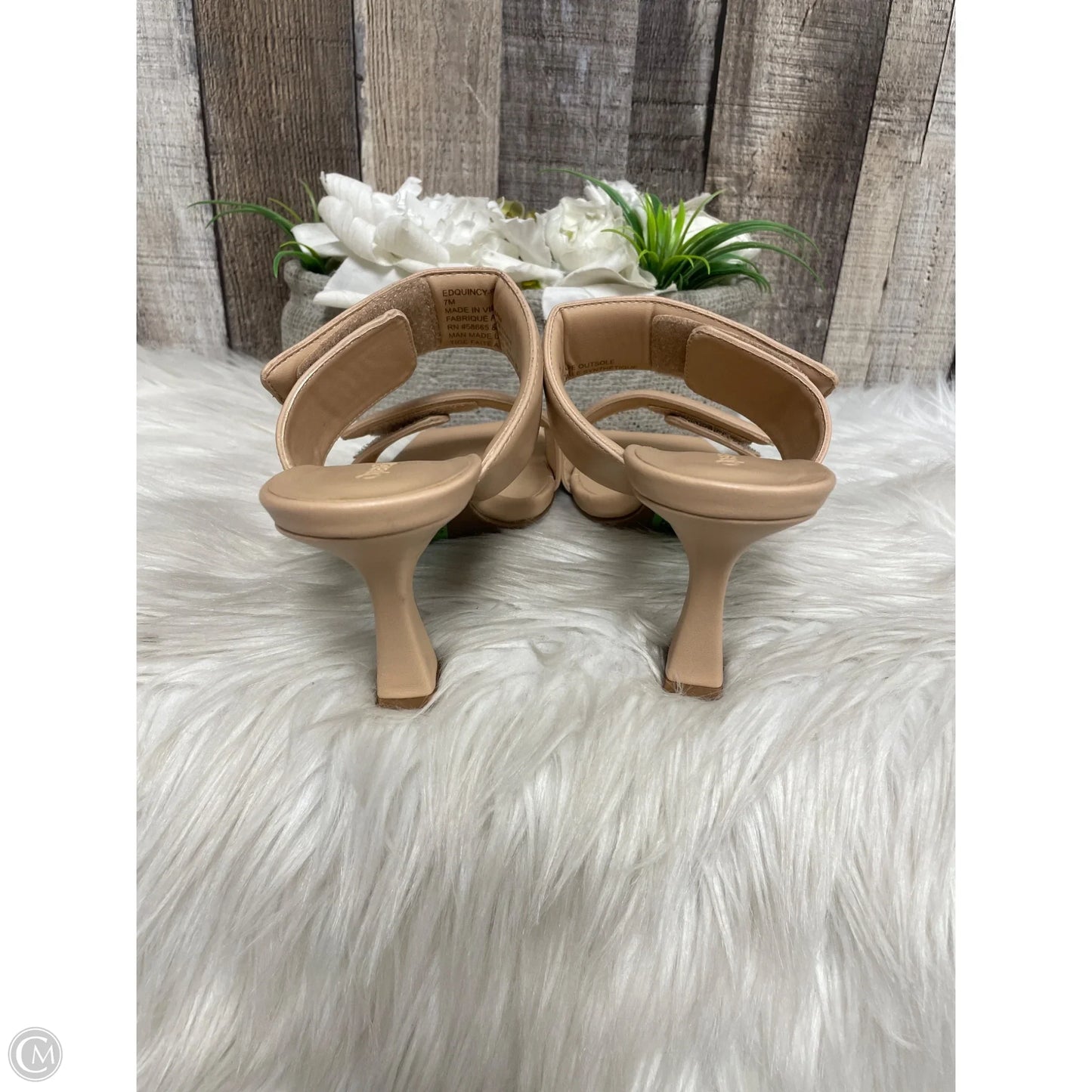 Shoes Heels Kitten By Open Edit In Tan, Size: 7