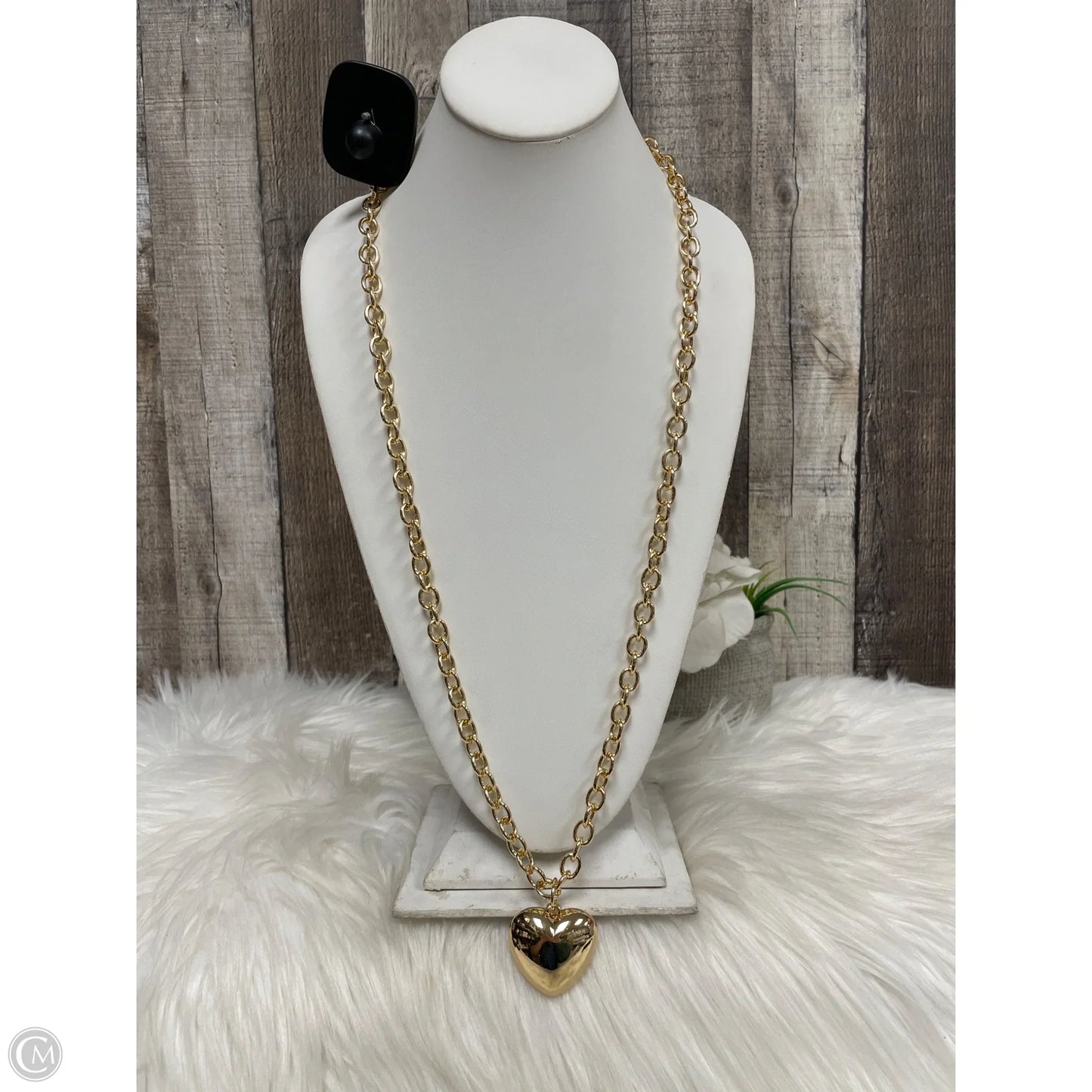Necklace Chain By Express