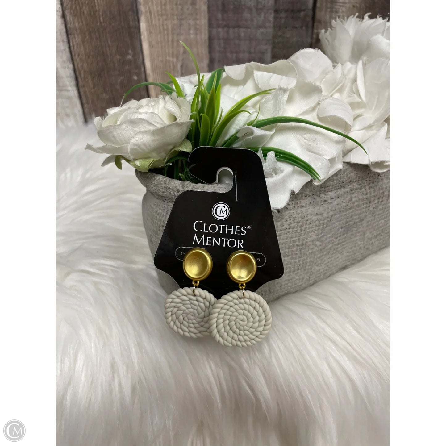 Earrings Dangle/drop By Clothes Mentor