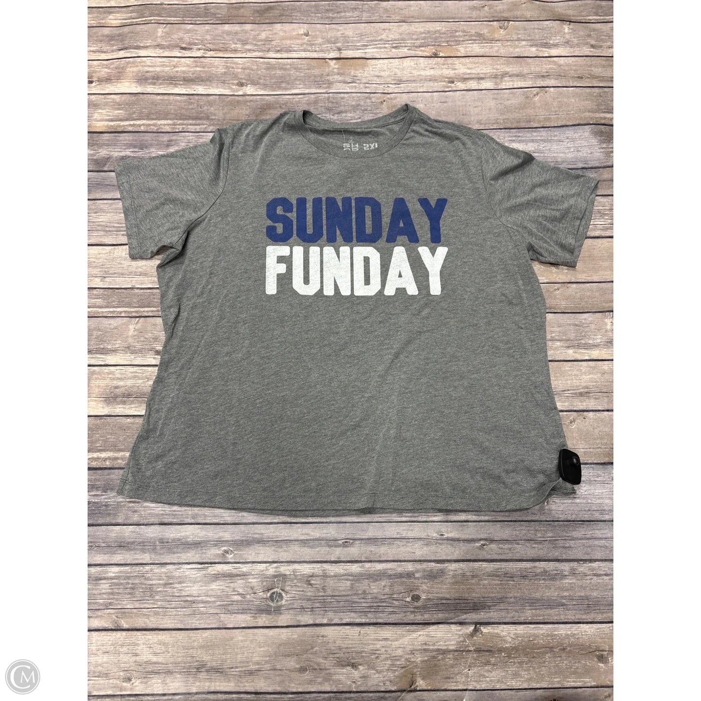 Top Short Sleeve By Clothes Mentor In Grey, Size: 2x