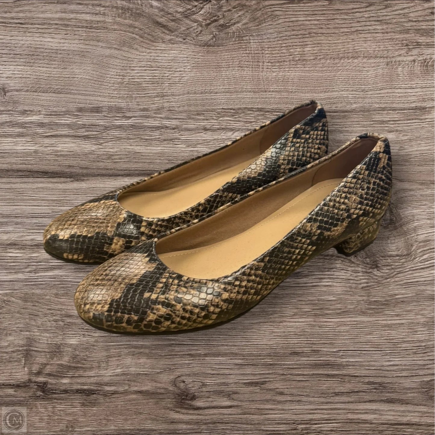 Shoes Heels Block By Easy Spirit In Snakeskin Print, Size: 6