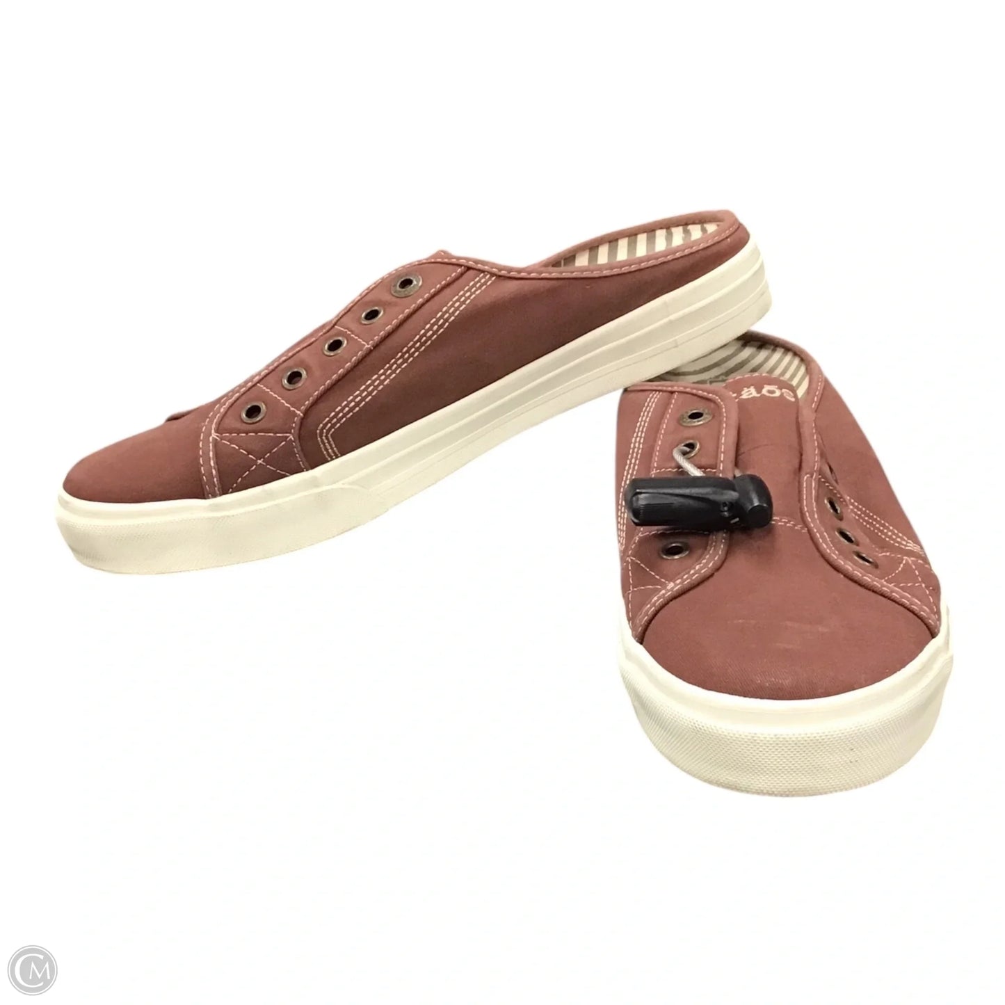 Shoes Sneakers By Taos In Brown & Cream, Size: 11