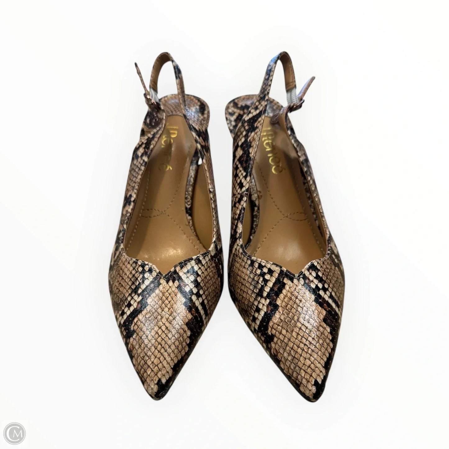 Shoes Heels Stiletto By J Renee In Snakeskin Print, Size: 6