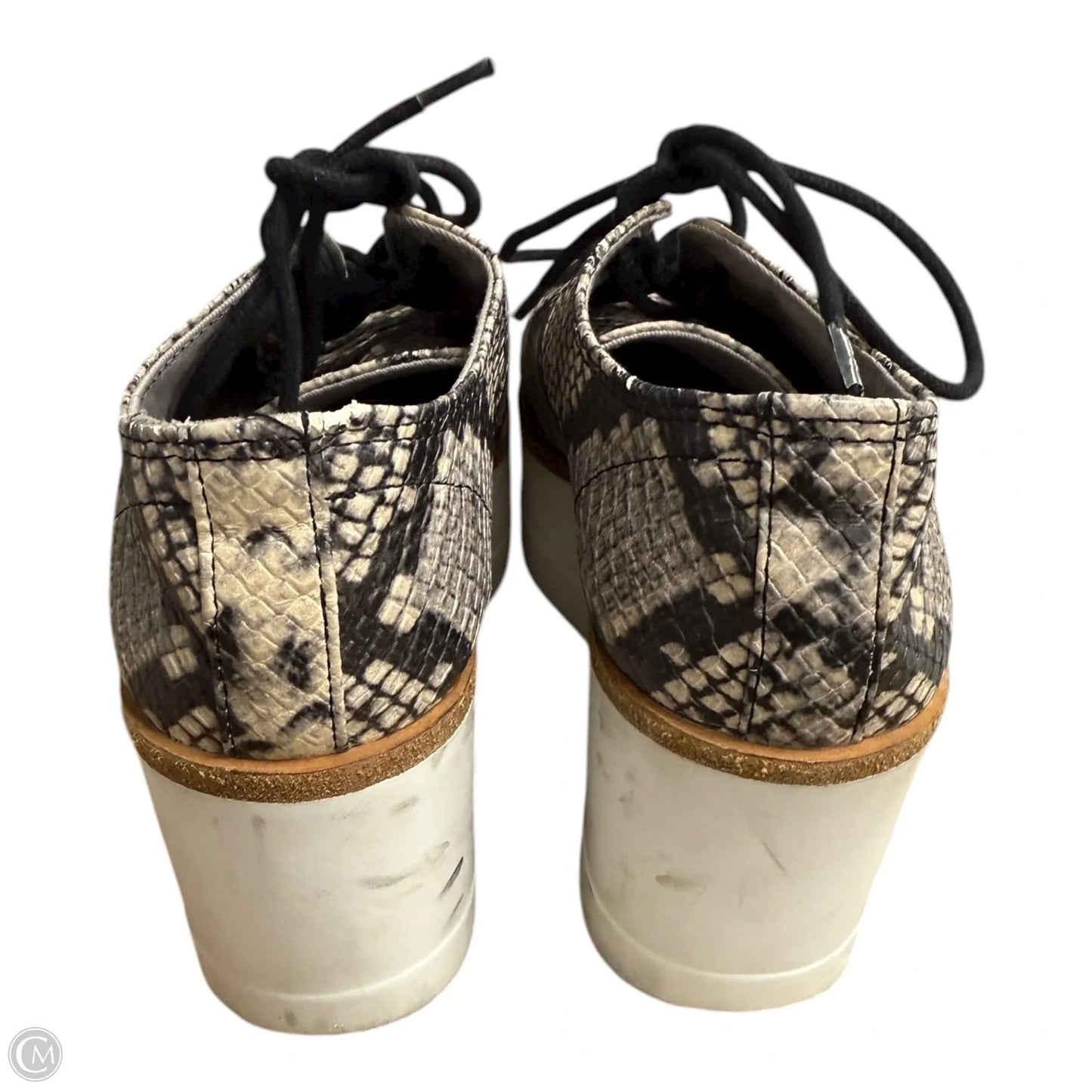 Shoes Heels Wedge By Steve Madden In Snakeskin Print, Size: 6.5