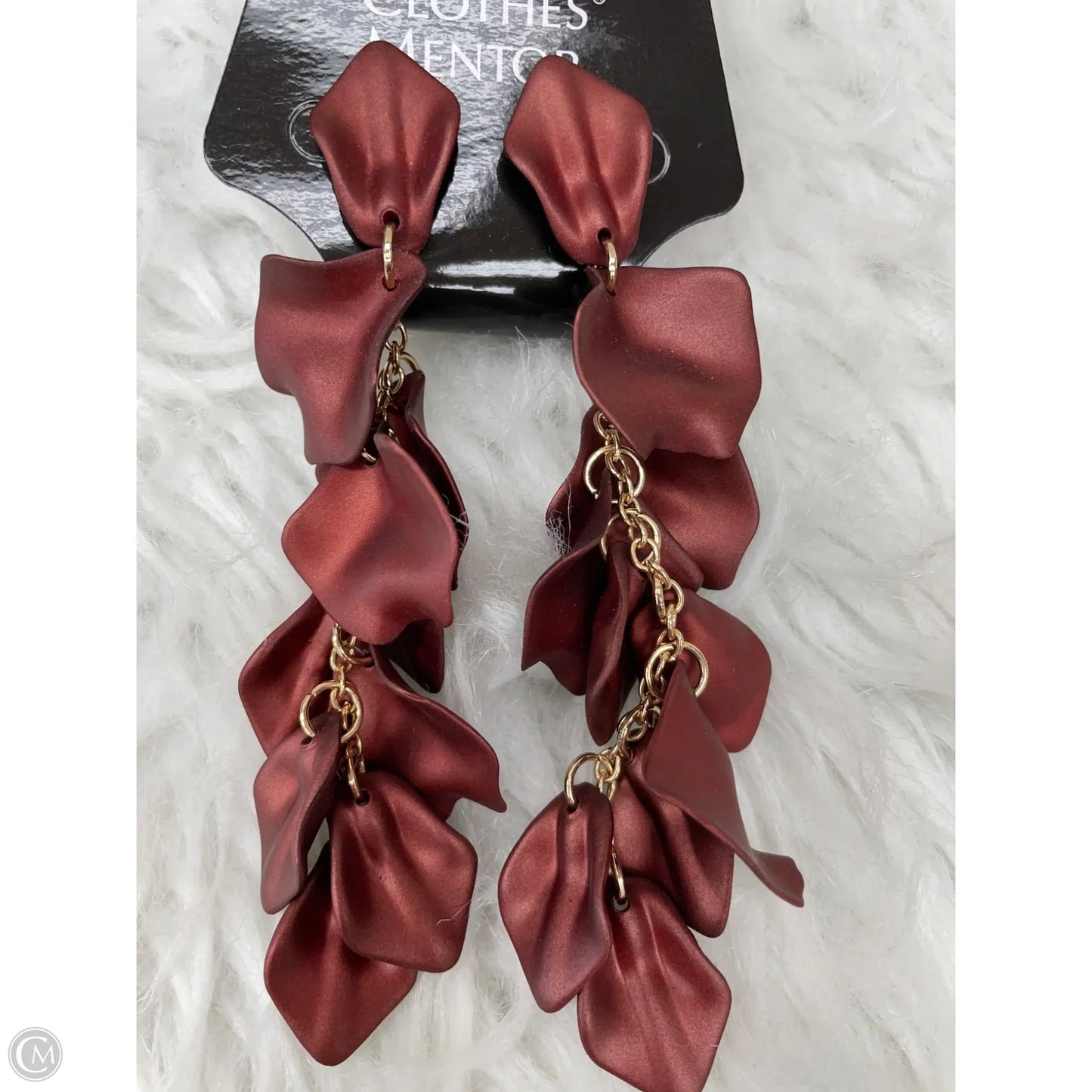 Earrings Dangle/drop By Clothes Mentor