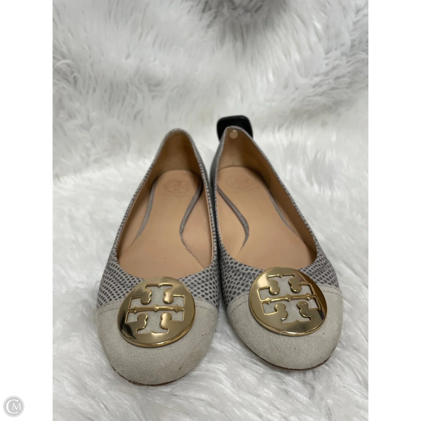 Shoes Designer By Tory Burch In Polkadot Pattern, Size: 8