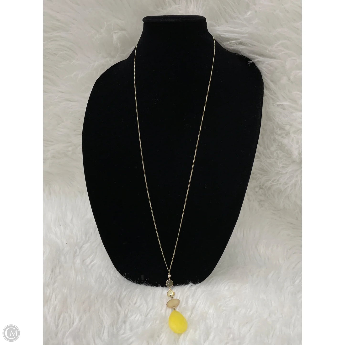 Necklace Pendant By Clothes Mentor