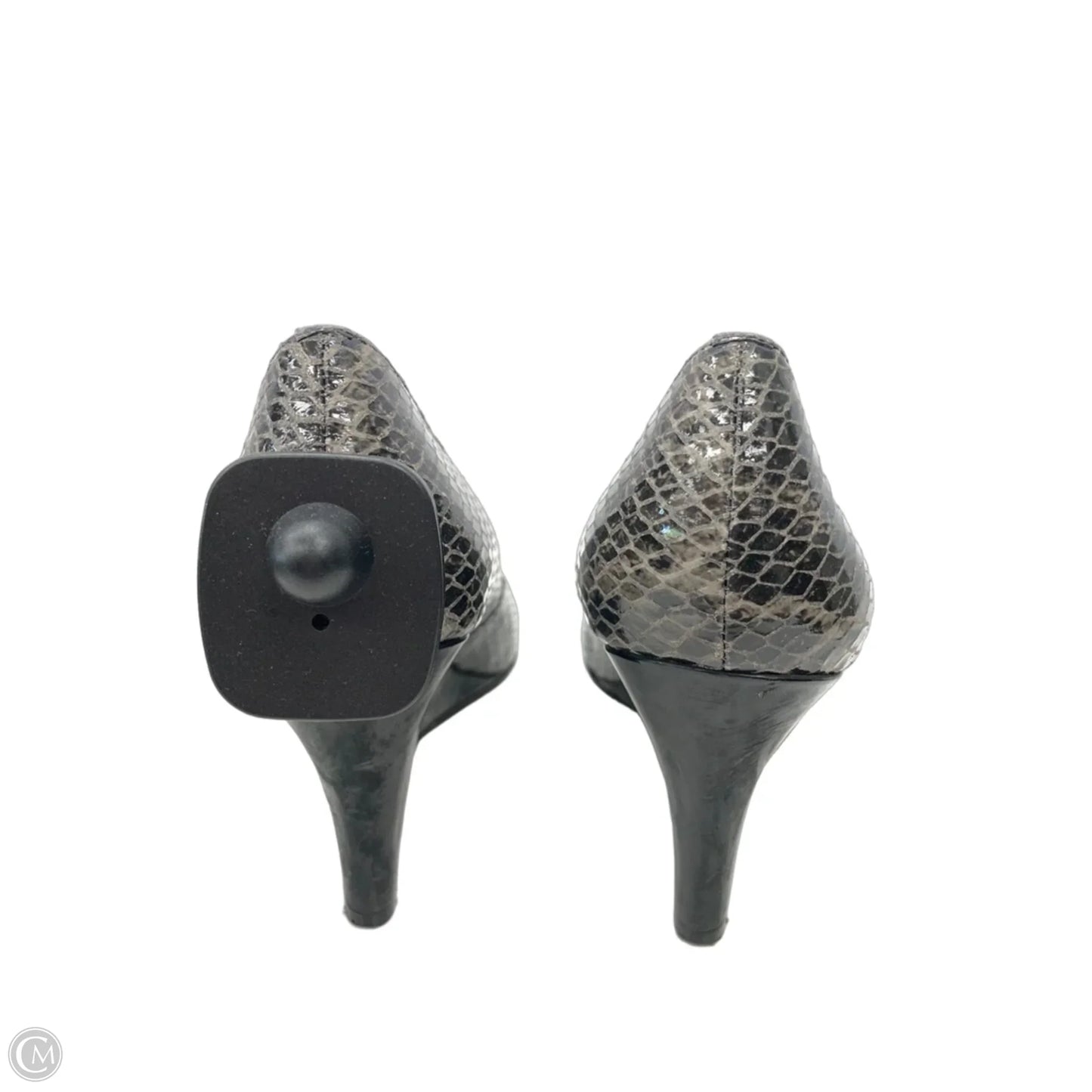 Shoes Heels Wedge By Ellen Tracy In Snakeskin Print, Size: 8.5