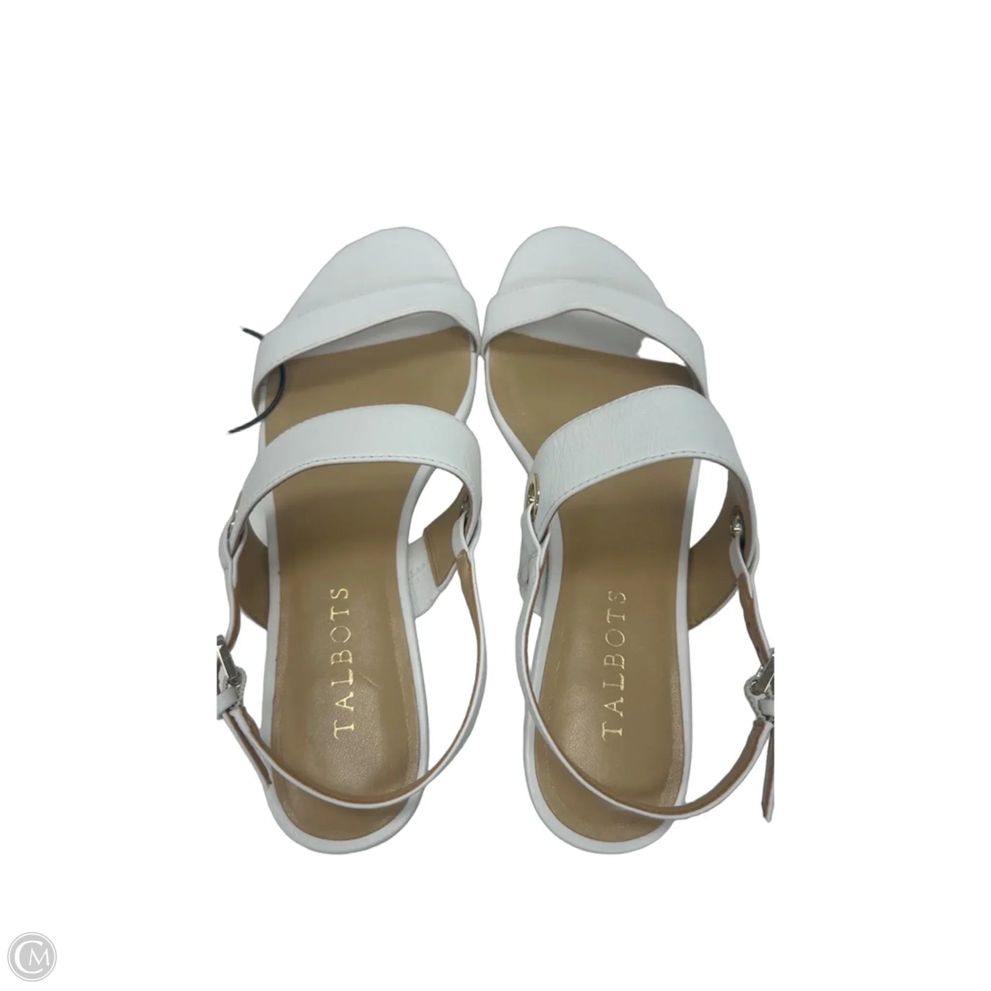 Sandals Flip Flops By Talbots In White, Size: 6.5