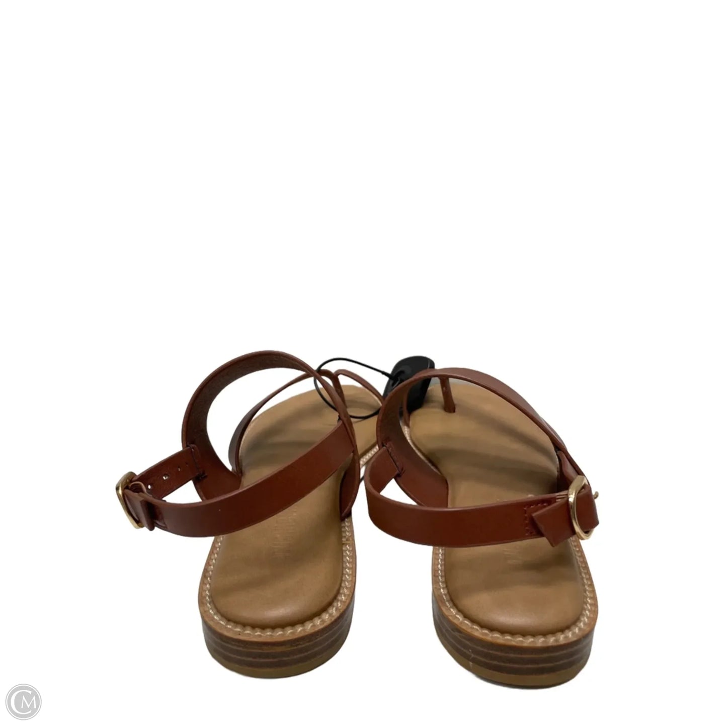 Sandals Flats By Cushionaire In Brown, Size: 6