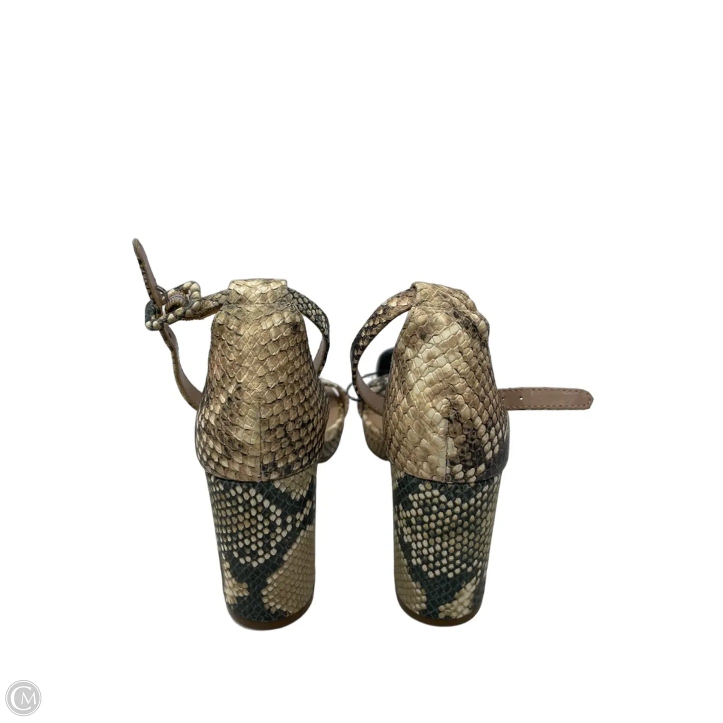 Sandals Heels Block By Steve Madden In Snakeskin Print, Size: 6