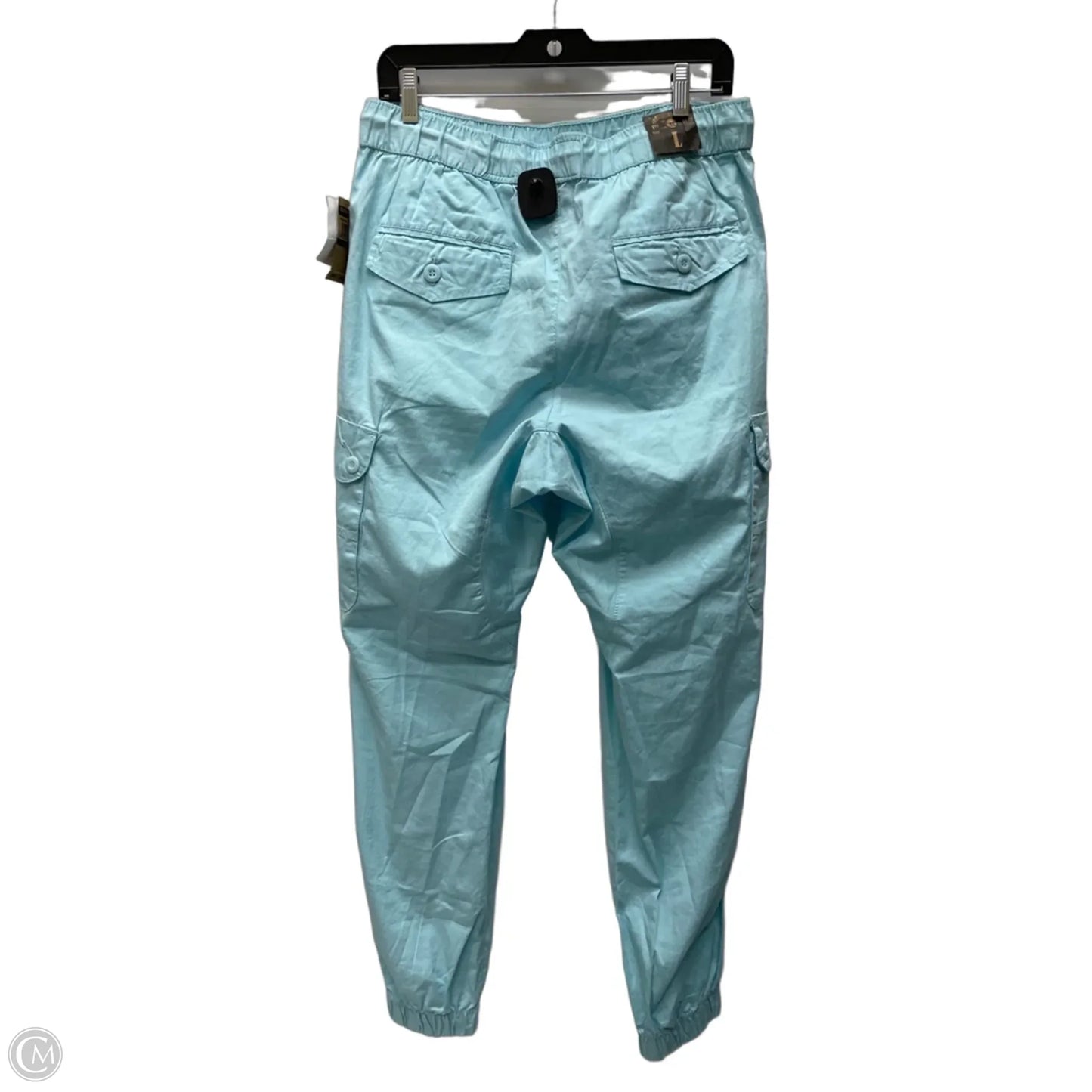 Pants Cargo & Utility By Evolution In Blue, Size: 12