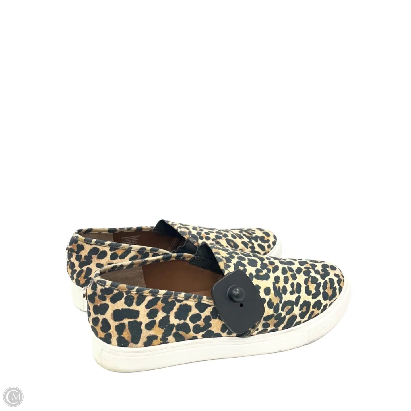 Shoes Flats By Steve Madden In Animal Print, Size: 9