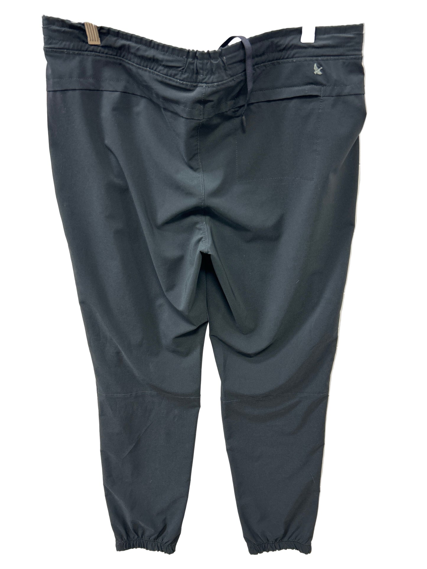 Athletic Pants By Eddie Bauer In Black, Size:M