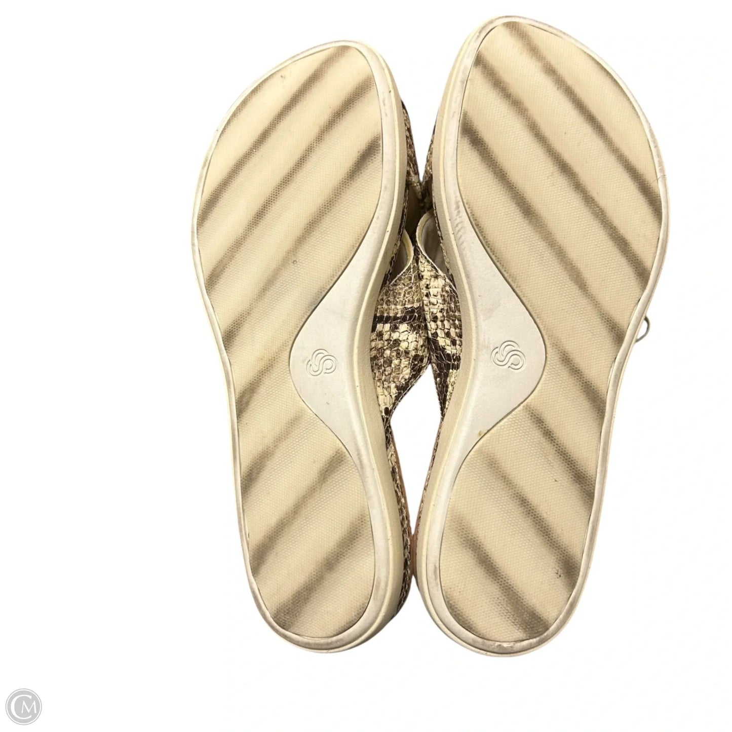 Shoes Flats By Clarks In Snakeskin Print, Size: 6