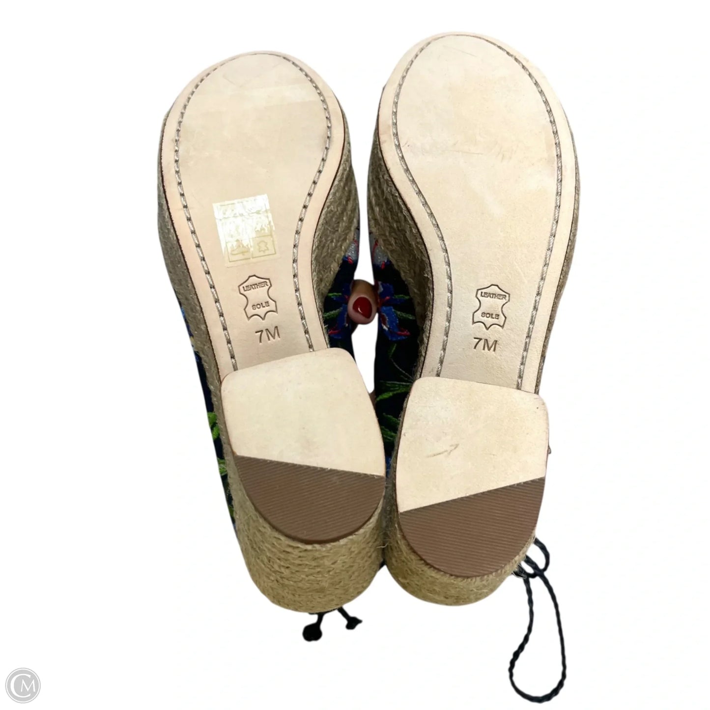 Shoes Designer By Tory Burch In Navy, Size: 7