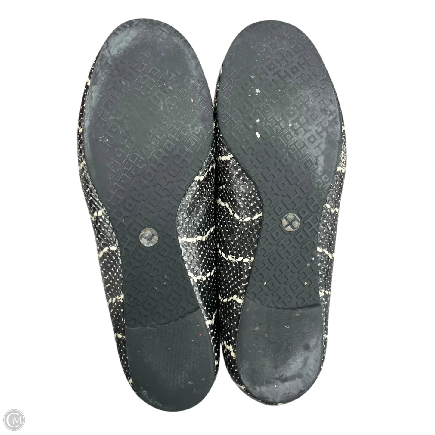 Shoes Designer By Tory Burch In Snakeskin Print, Size: 10