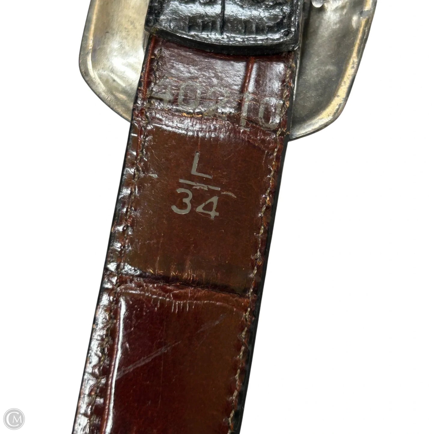Belt By Brighton, Size: Large