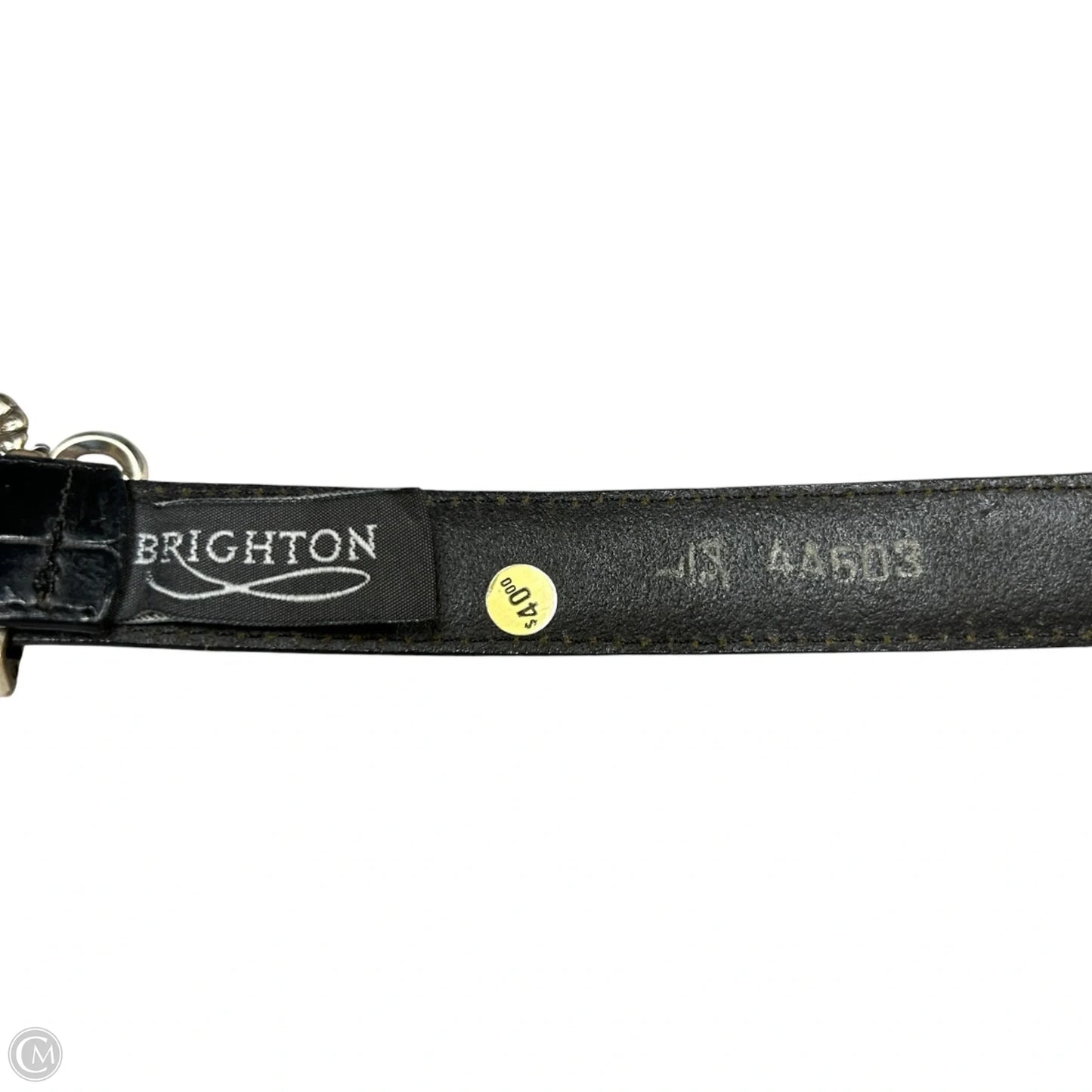 Belt By Brighton, Size: Large