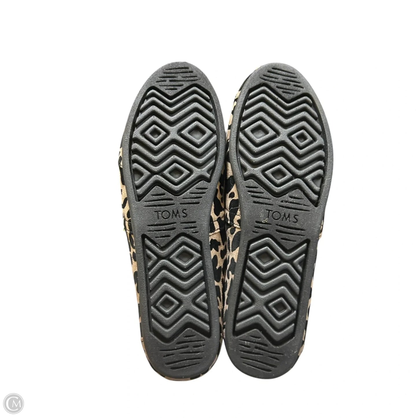 Shoes Flats By Toms In Leopard Print, Size: 9.5
