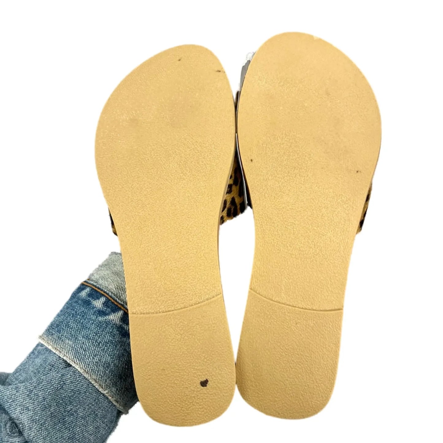 Sandals Heels Wedge By Matisse In Animal Print, Size: 7