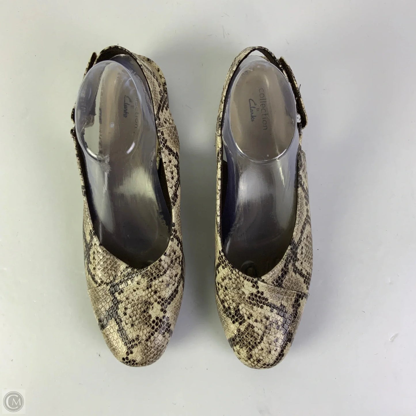 Shoes Flats By Clarks In Snakeskin Print, Size: 10