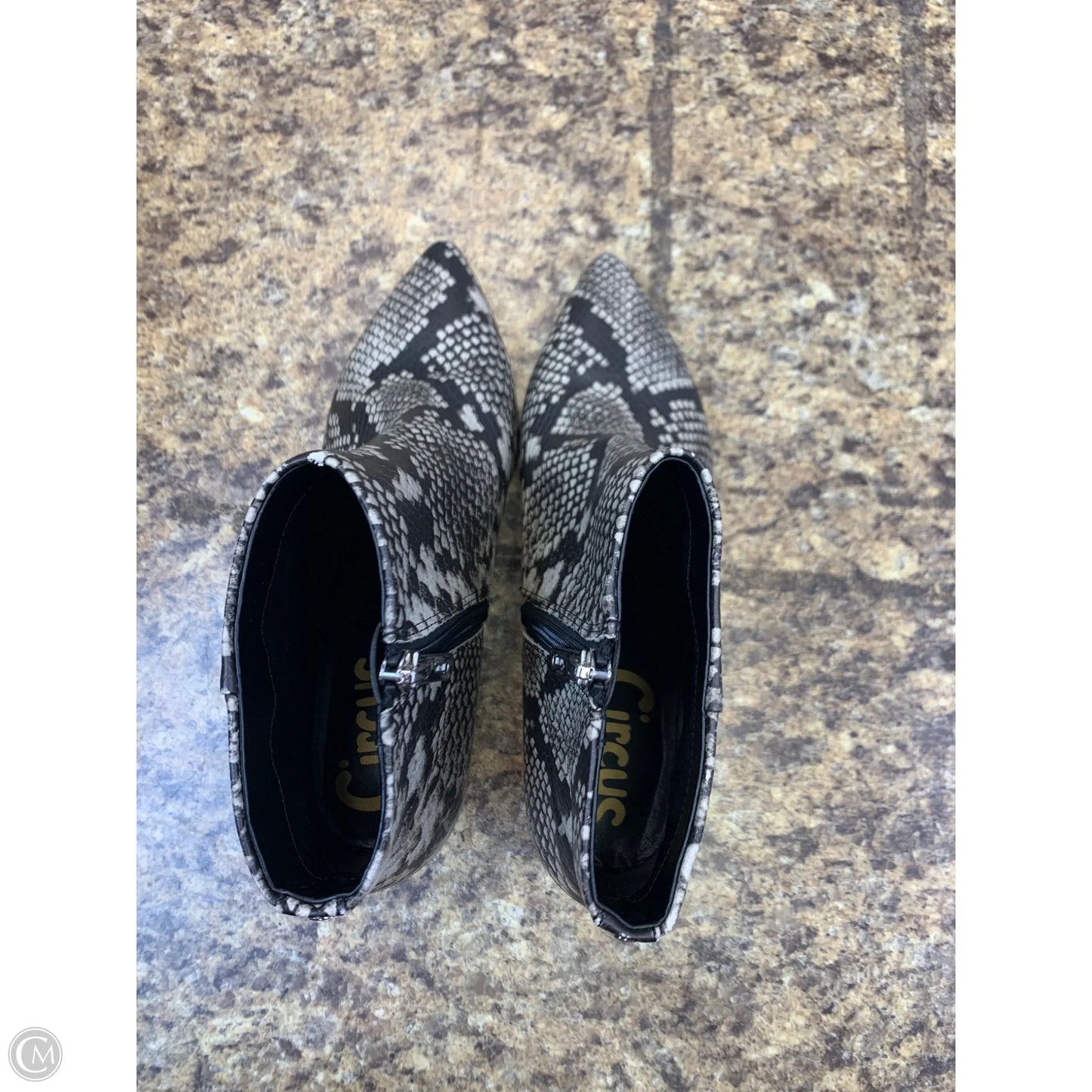 Boots Ankle Heels By Circus By Sam Edelman In Snakeskin Print, Size: 8