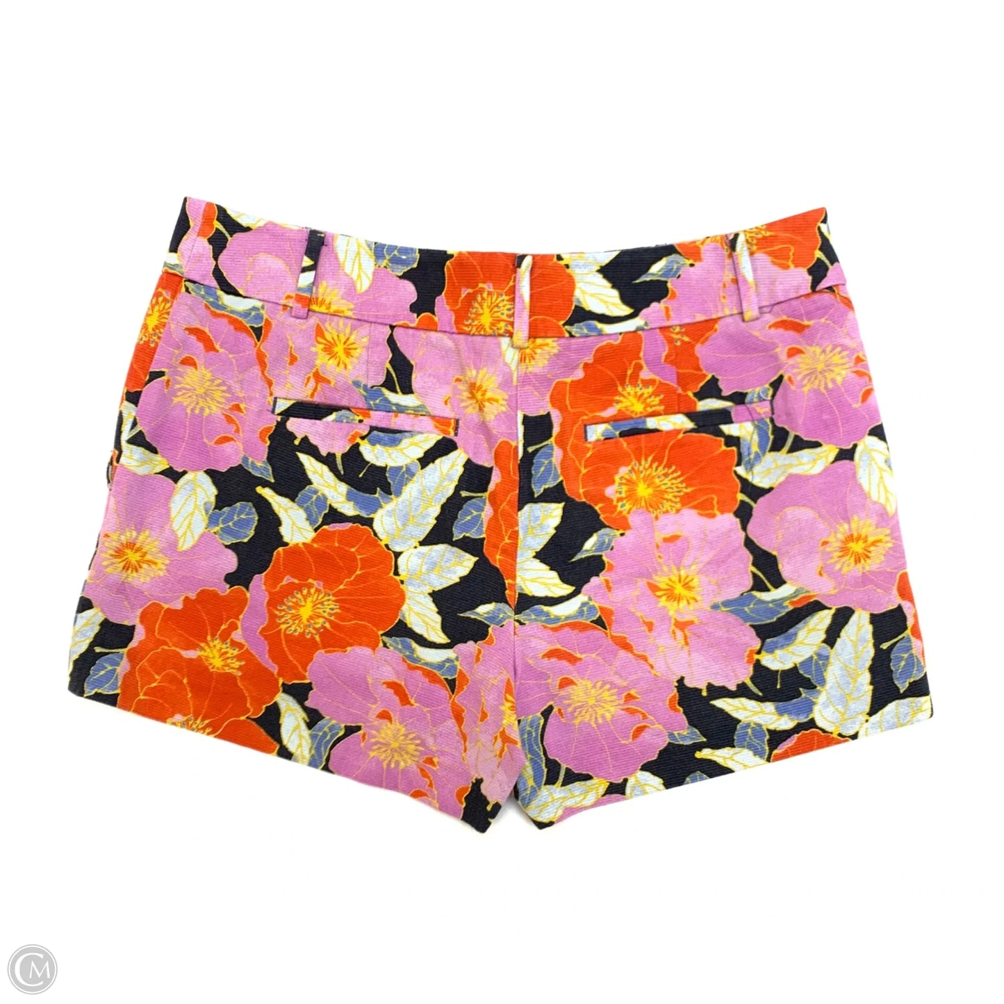 Shorts By Loft In Multi-colored, Size: 8