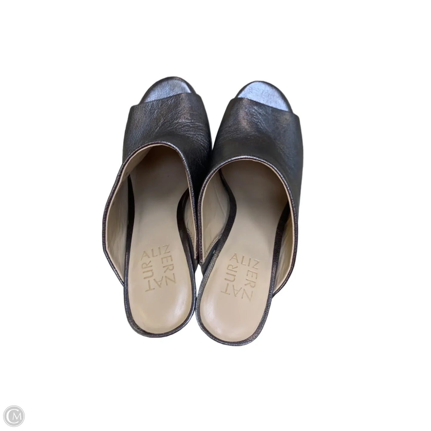 Shoes Heels Block By Naturalizer In Silver, Size: 8