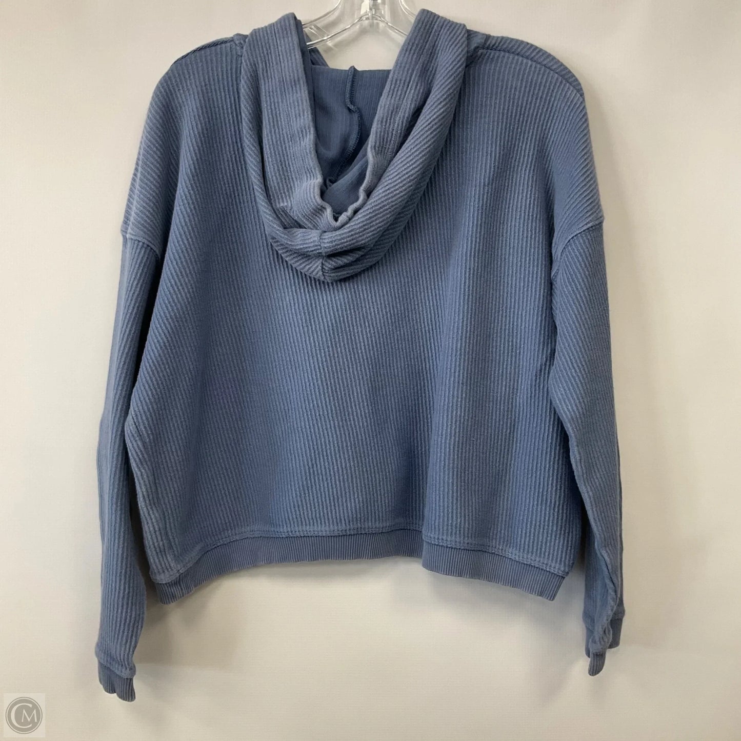 Sweatshirt Hoodie By Aerie In Blue, Size: M