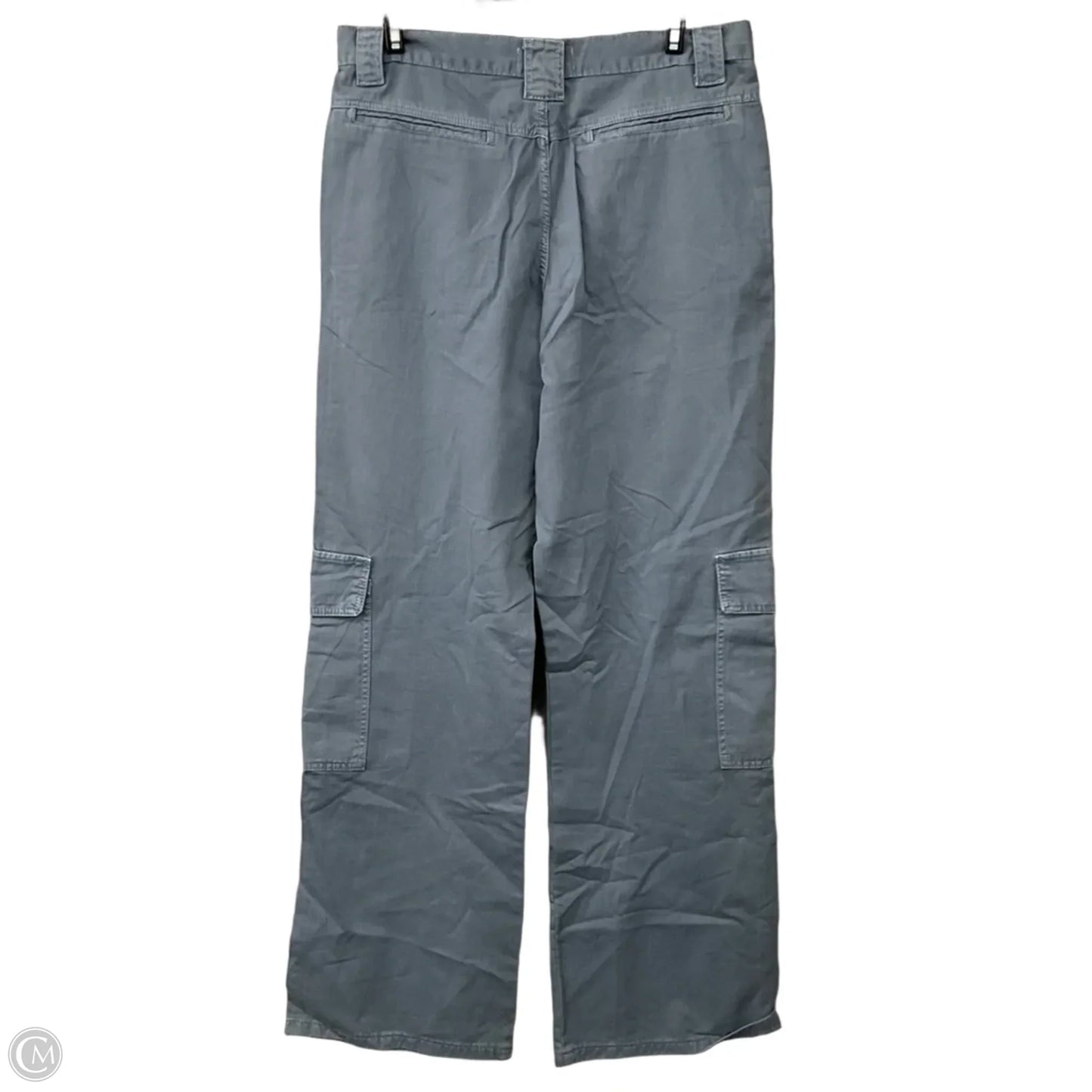 Pants Cargo & Utility By Zara In Blue, Size: 4