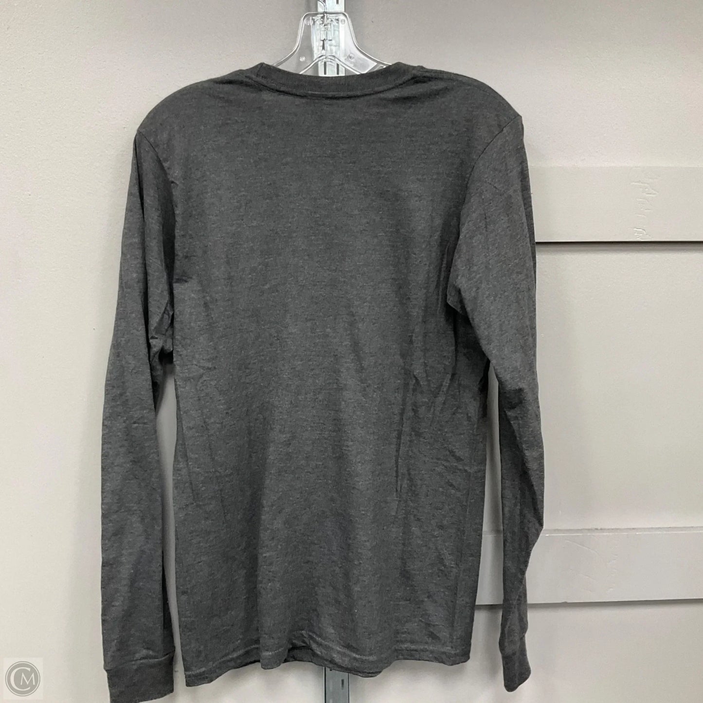 Top Long Sleeve Basic By Tultex In Grey, Size: S