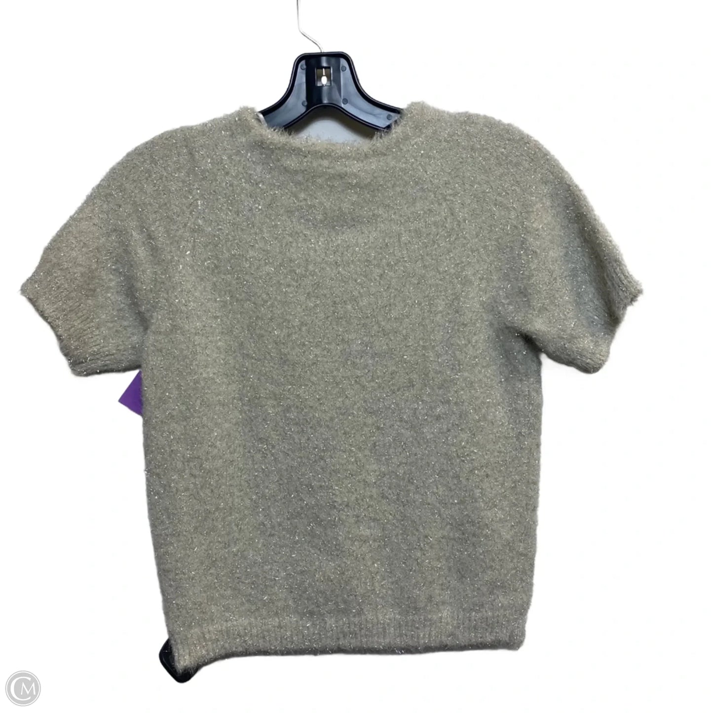 Top Short Sleeve By Altard State In Silver, Size: Xs