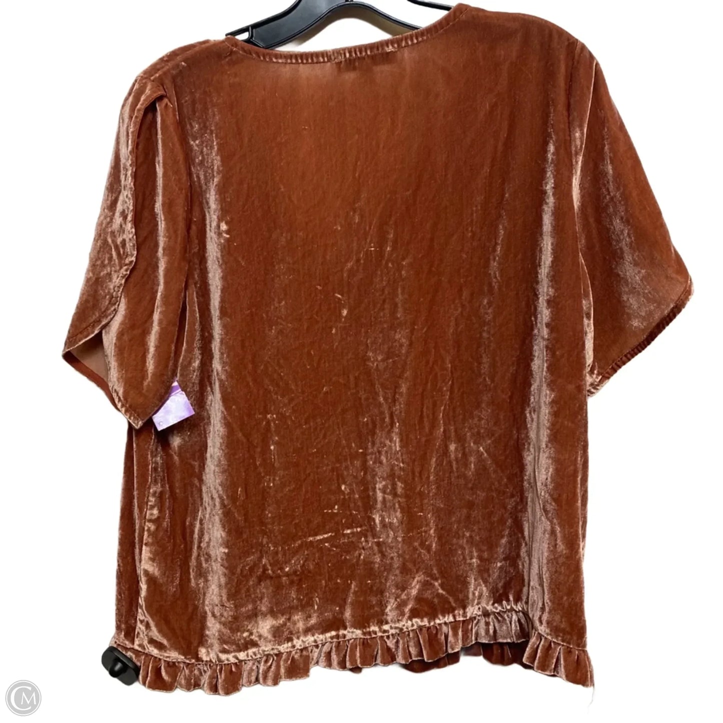 Top Short Sleeve By Madewell In Brown, Size: M