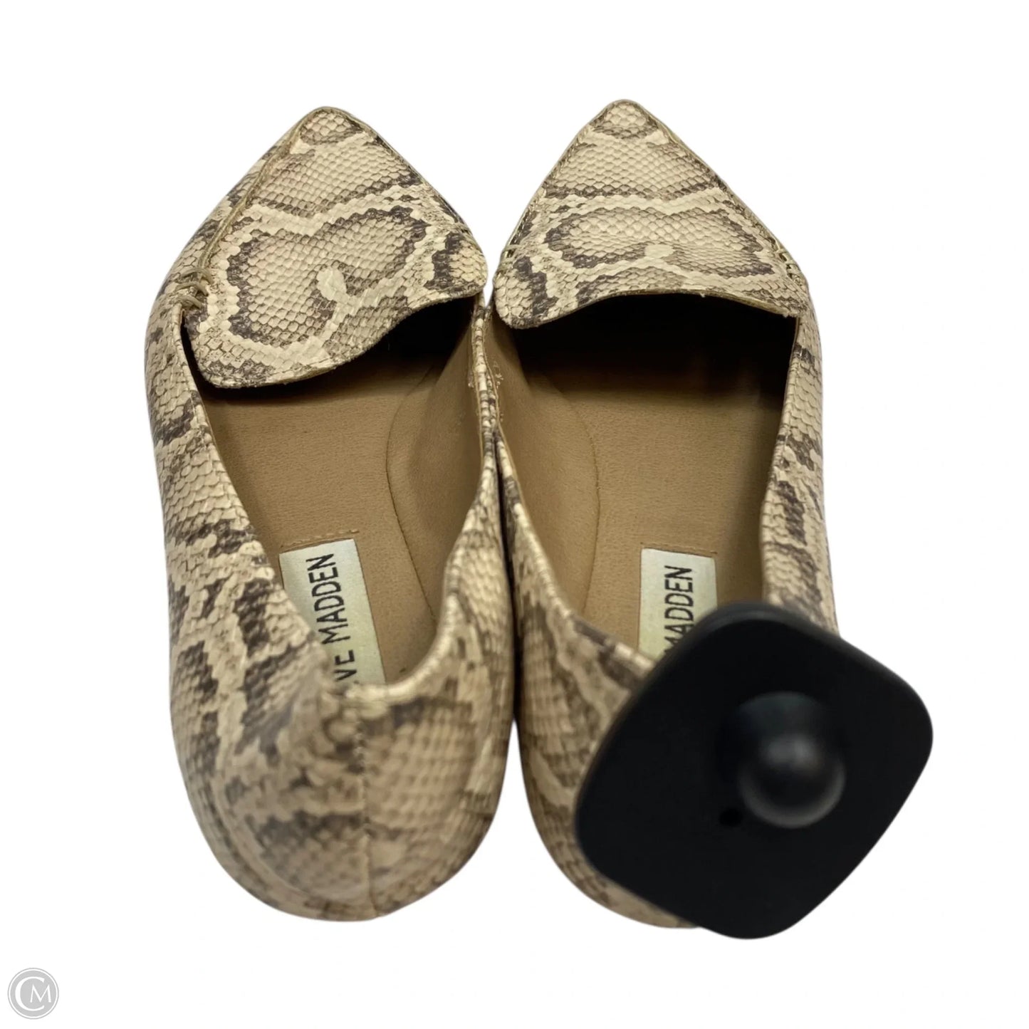 Shoes Flats By Steve Madden In Snakeskin Print, Size: 6