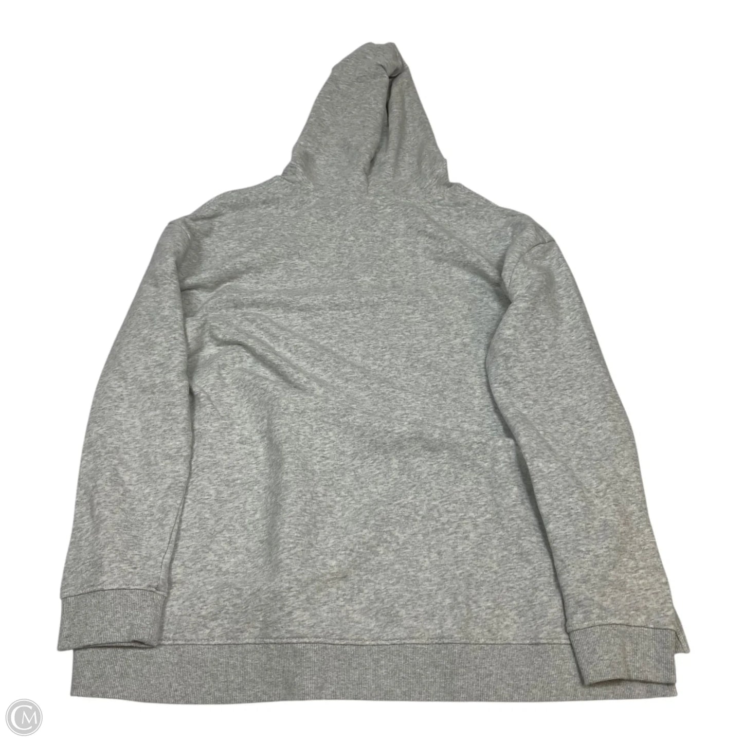 Sweatshirt Hoodie By Natural Reflections In Grey, Size: L
