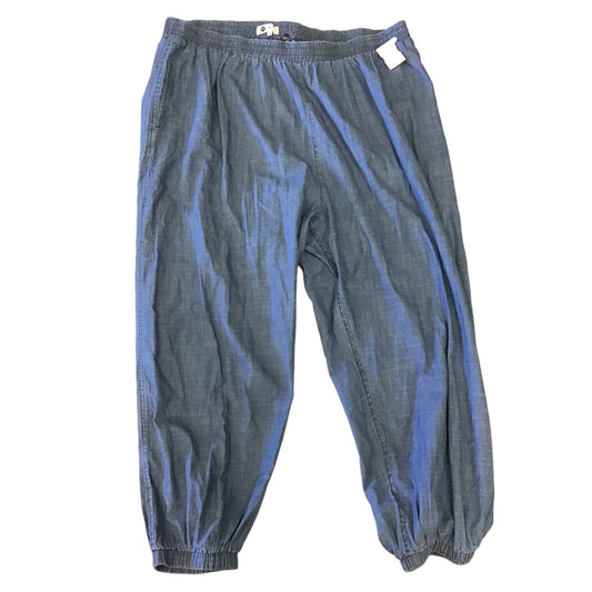 Pants Other By The Odells  Size: 2x