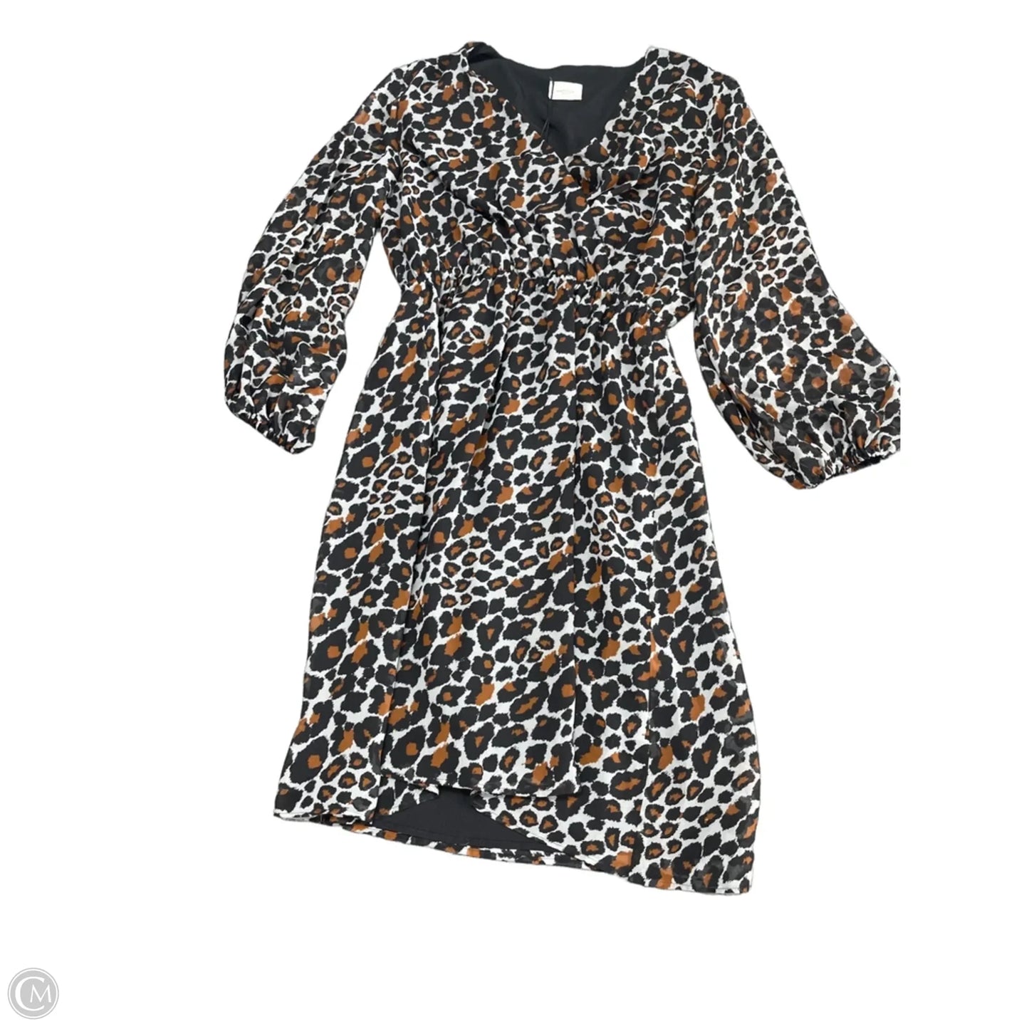 Dress Casual Short By Cma In Leopard Print, Size: 6