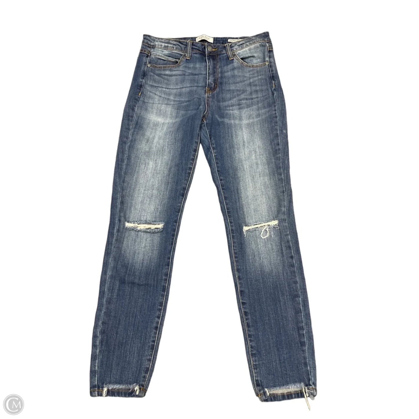 Jeans Skinny By Judy Blue In Blue Denim, Size: 10
