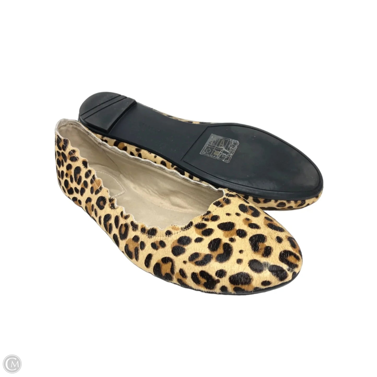 Shoes Flats By Kelly And Katie In Leopard Print, Size: 11