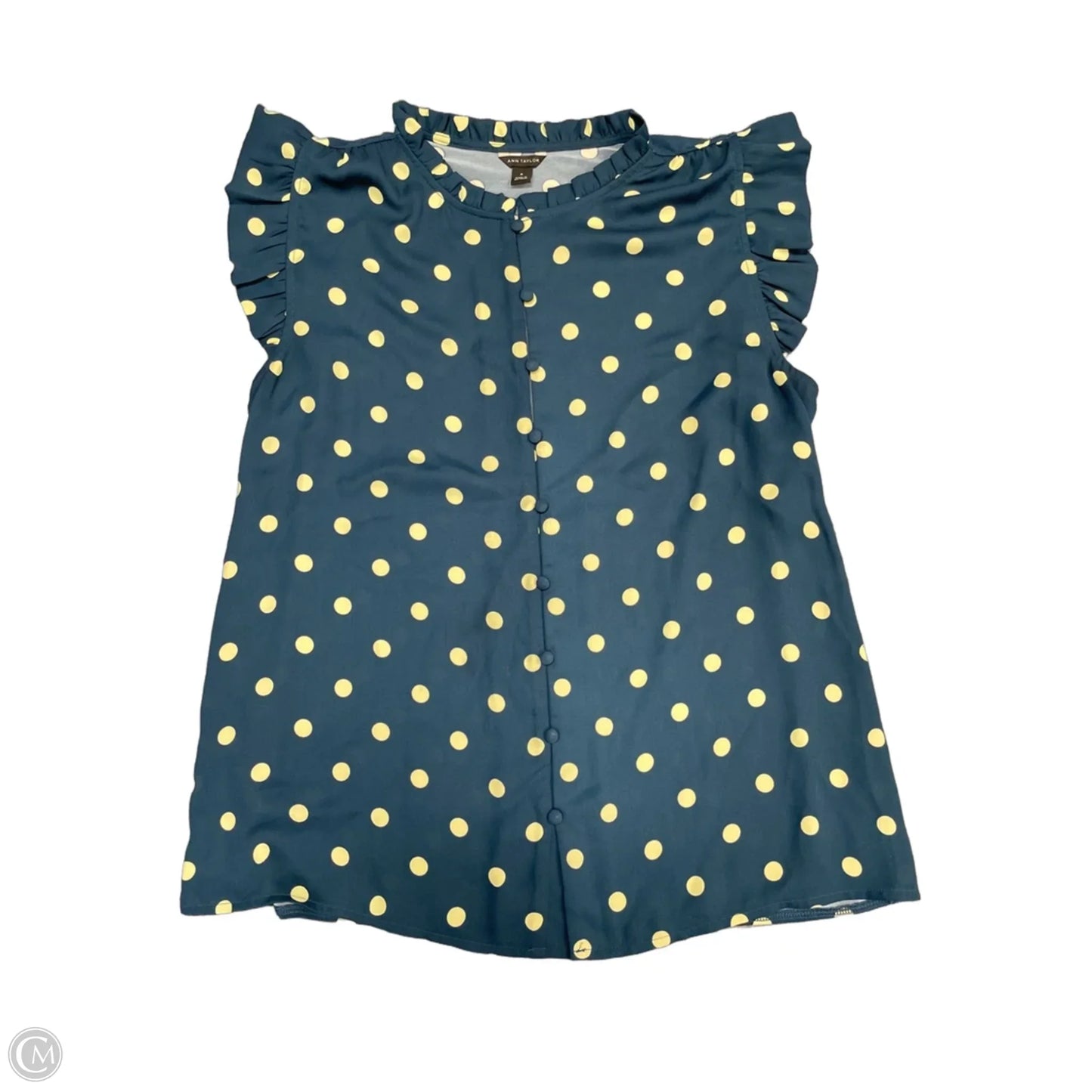 Top Sleeveless By Ann Taylor In Blue & Cream, Size: M