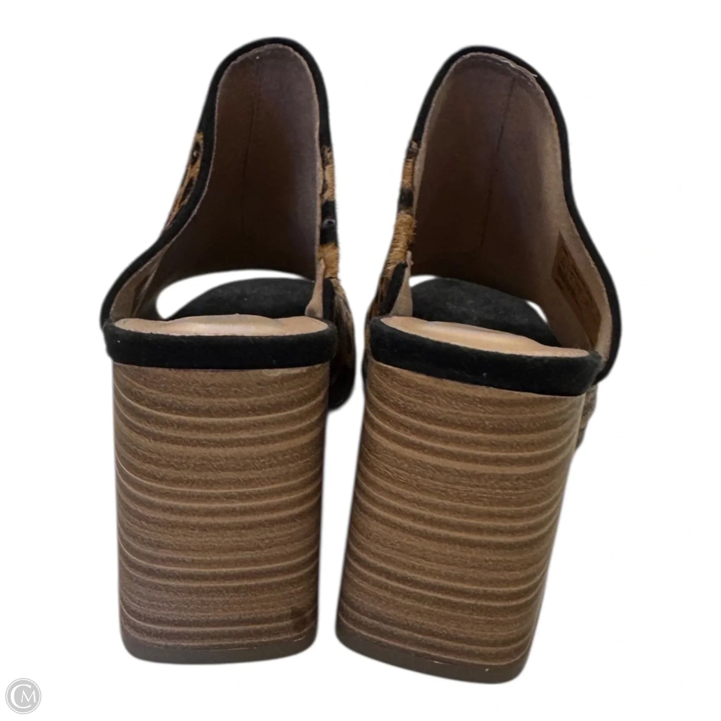 Shoes Heels Block By Rockport In Animal Print, Size: 6.5